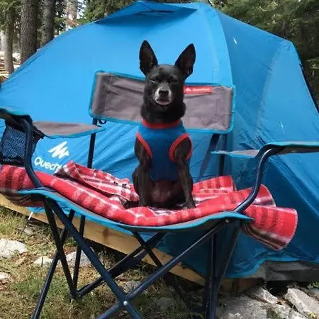 럭셔리텐트 Naturel Camping Antalya Doyran *